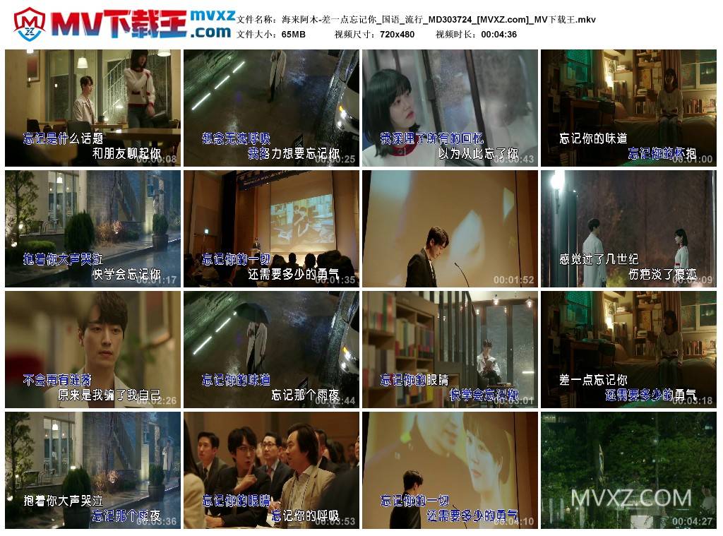 海来阿木-差一点忘记你_国语_流行_MD303724